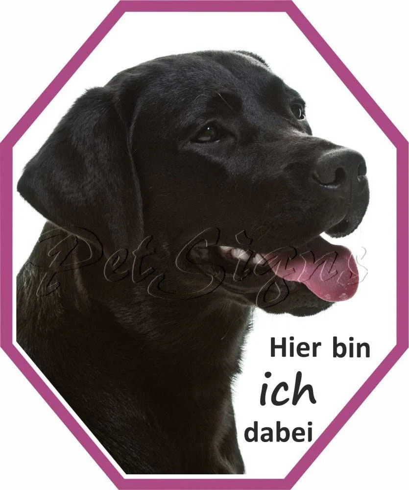 

For Petsigns car Labrador sticker - included!, 15cm x 12,5cm