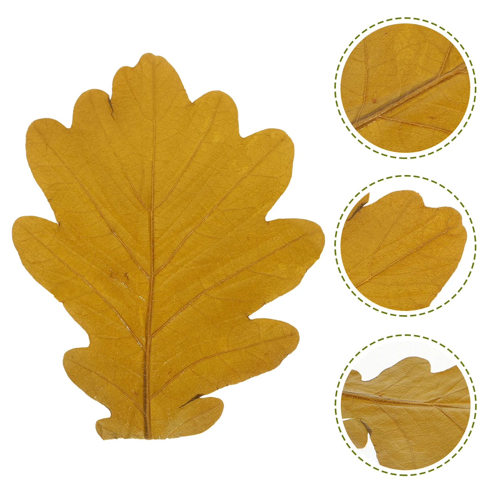 

20Pcs Natural Sushi Leaf Decors Japanese Food Photography Props Sashimi Plate Baking Dessert Decoration Sushi Leaf Decors