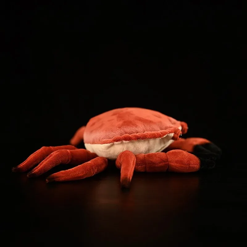 ZWY Original Realistic Bread Crab Plush Toy Edible Crab Stuffed Animal with Lifelike Unique Marine Creature Collectible Gift