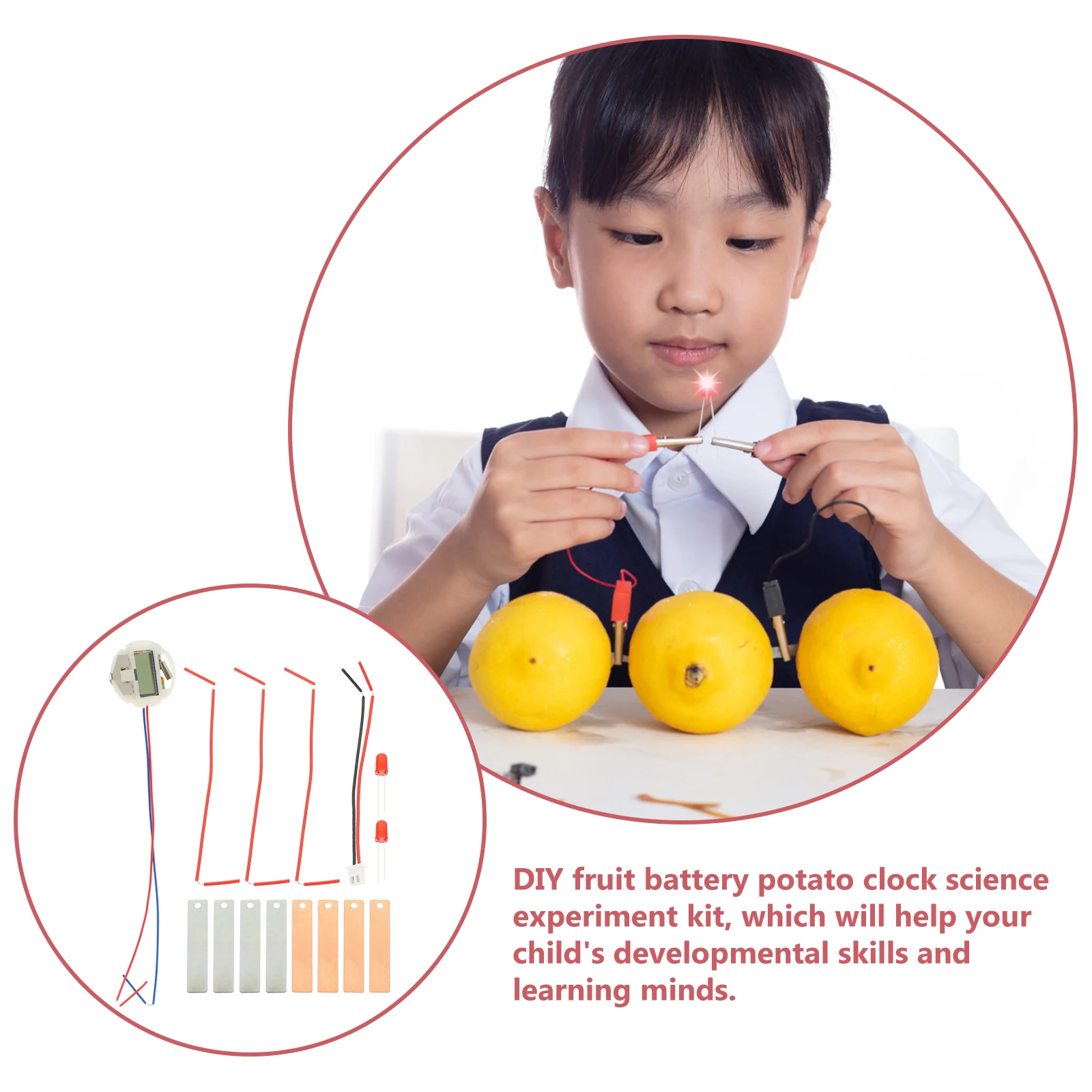 

Fruit Educational Toy for Kids Science Experiment Diy Kits Experiments Metal