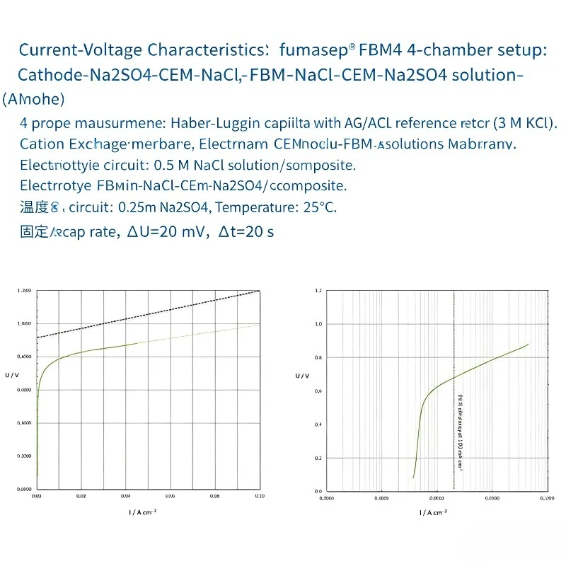 German Import Fumasep FBM-PK Bipolar Membrane Special For Battery Electrodialysis Water Treatment
