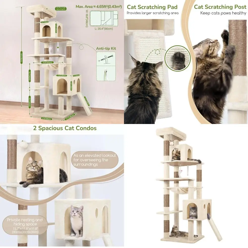 Sturdy 70 Indoor Ca… - image