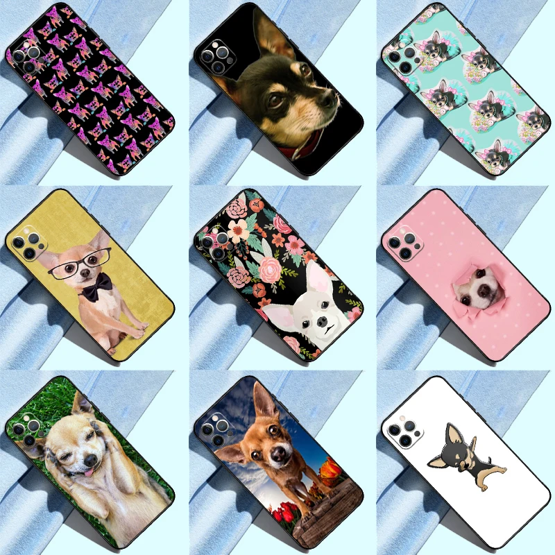 Chihuahua Dog Cute … - image