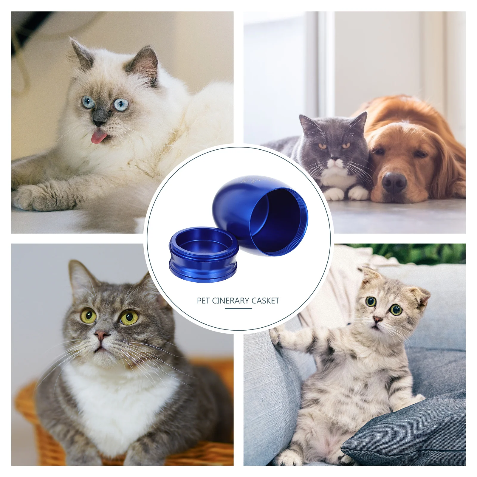 

Pet Cinerary Casket Small Ash Bottle Waterproof Durable Anti-Fading Pet Cremains Urn Memorial Container for Fireplace Bookshelf