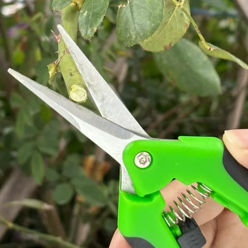 1/3PCS Gardening Pruning Shears Garden Scissors Hand Prun Multi-use Prun Shear Grape Fruit Tree Pick Potted Picking Scissor Tool