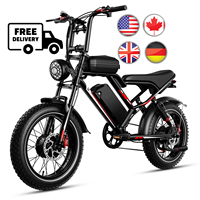 STLF Electric Mountain Bike 1000W 20 Inch off Road Fat Tire E-Bike 48V City E Bike Electric Bicycle Adult Fatbike