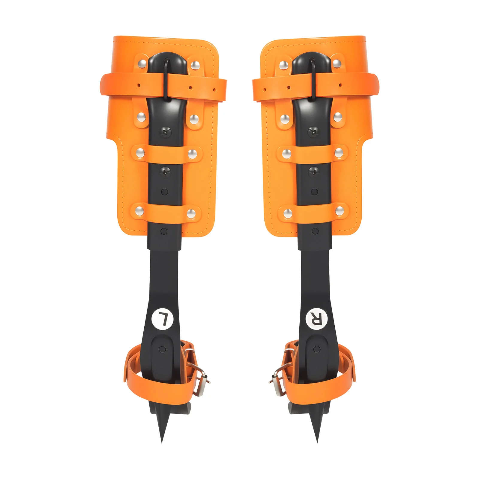 

Tree Climbing Spike Set Pole Climbing Spurs Steel Adjustable Climber Gaffs with 1 Pair Gloves for Felling Trees, Picking Fruit