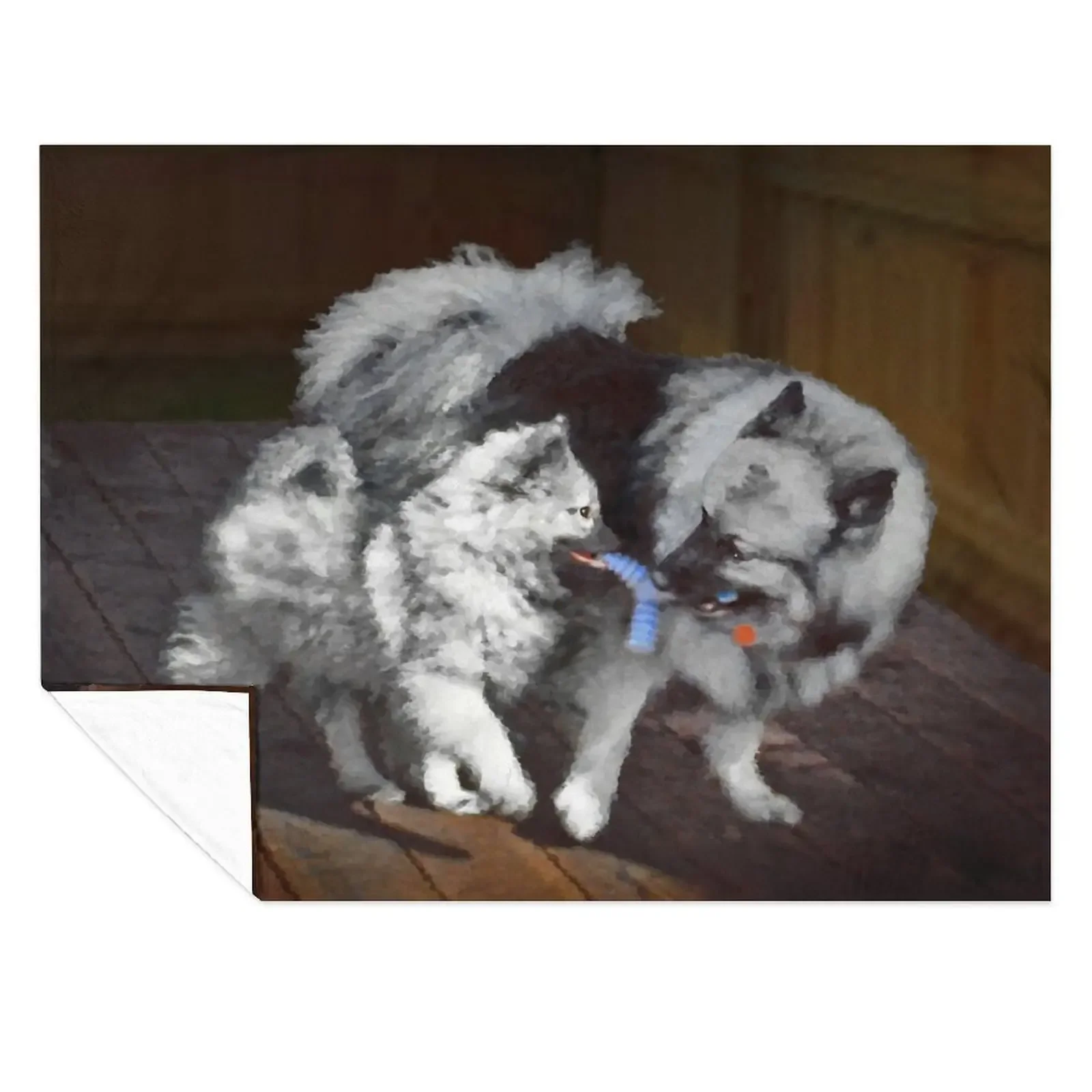 

Keeshond Playtime Throw Blanket Thin Beautifuls Luxury Designer Cute Blankets