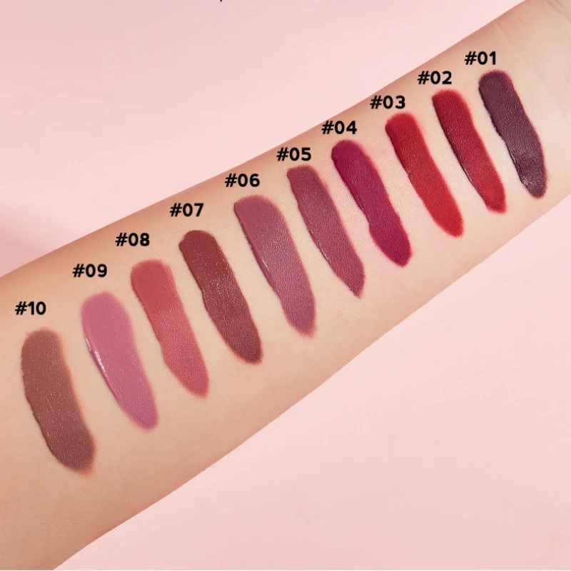 Set di 10 Colori per Labbra da Sogno, Finitura Opaca Satinata, Lucidalabbra Impermeabile e Resistente al Sudore in Confezione Regalo