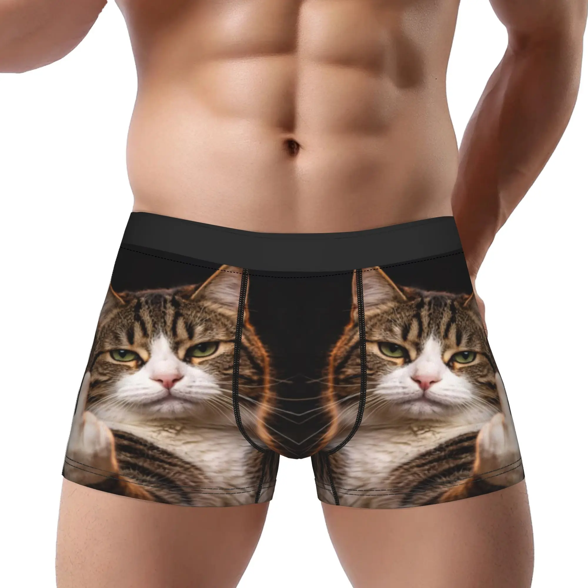 Tabby Cat Middle Finger Funny Meme Art  Underpants Breathbale Panties Men's Underwear Comfortable Shorts Boxer Briefs