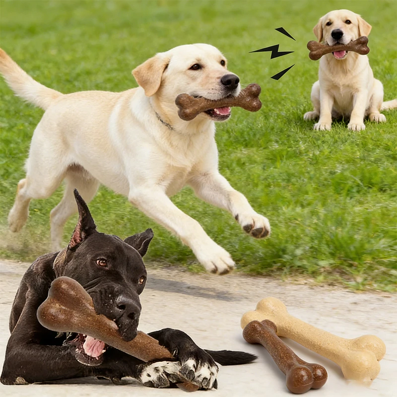 

Original Bone Power Chew Toy Value Pack for Dogs, Durable Dog Toys for Aggressive Chewers Durable Tough Puppy Teething Toys