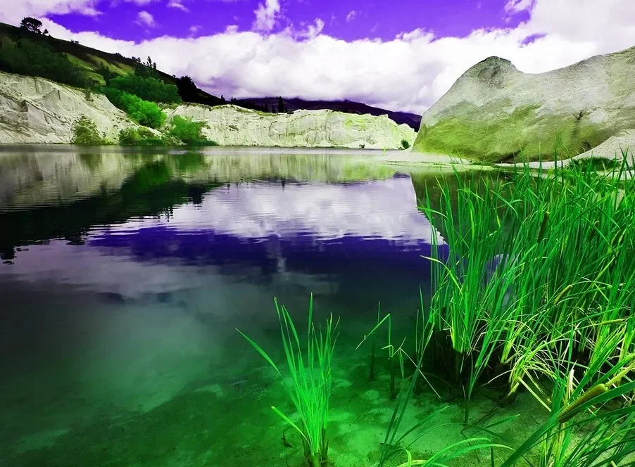 

9503E 1/16 4WD RC Rock Crawler — 2,4G, 20 км/ч, матовый, RTR Off-Road