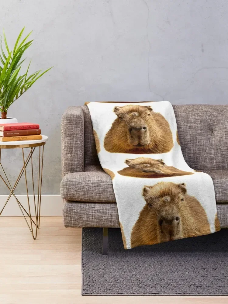 Capybara dozing in the sunshine Throw Blanket warm winter fluffy Plaid Sleeping Bag Plaid on the sofa Blankets