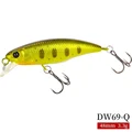 DW69-Q