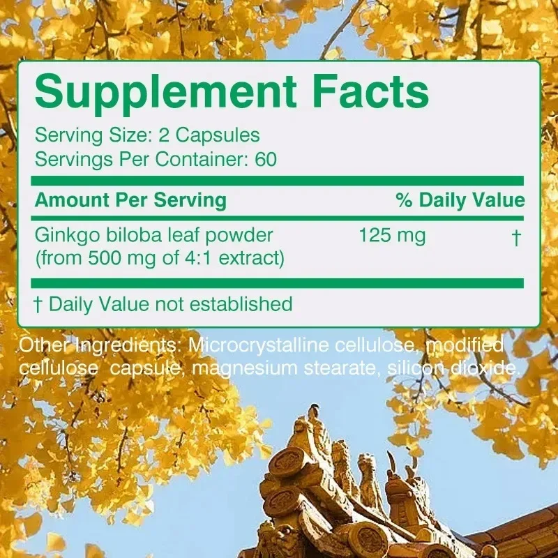 Ginkgo Biloba 500 Mg Extra Strength - Helps Replenish Energy, Boosts Immunity, Improves Memory & Concentration, Antioxidants