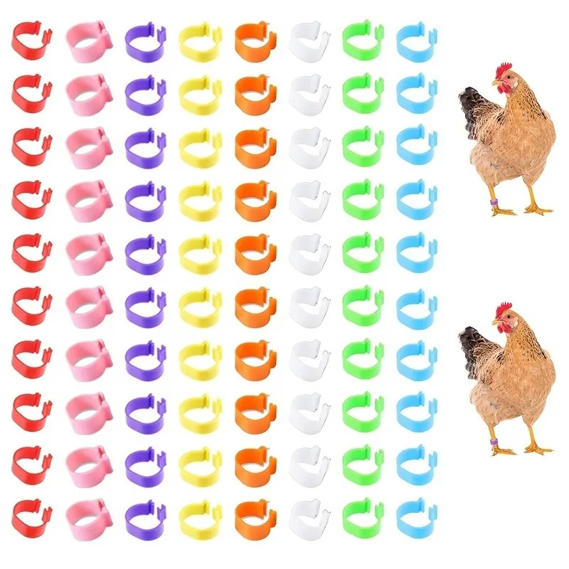 Durable Plastic Material Poultry Identification Bands, 72 pcs, Duck Goose Identification, Multipurpose, Random Color