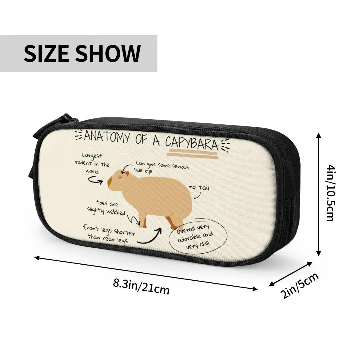 Capybara Anime Pencil Case, Pen Box para Crianças, Bolsa de Grande Capacidade para Estudantes, Papelaria Escolar, Anatomia