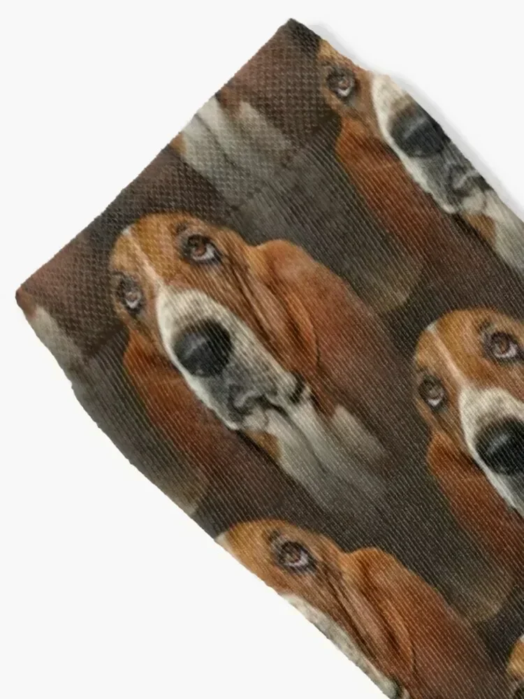 Basset Hound Pattern Socks custom halloween Toe sports Socks For Man Women's