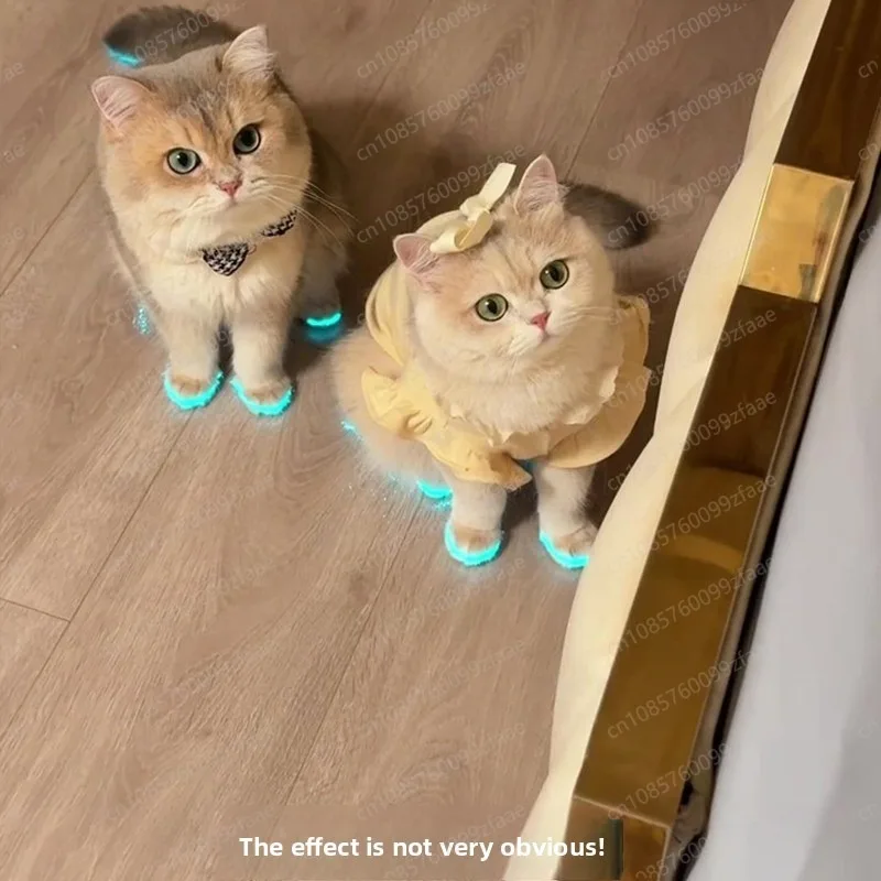 Glowing Cat Shoes Pet Dog Shoes Whistle Luminous Toys Night Photo Accessories for Cat Dress Up