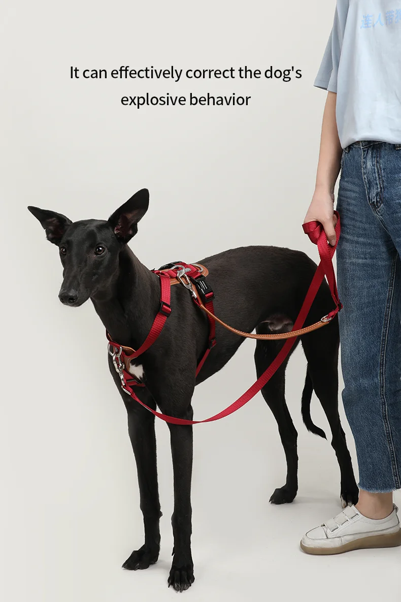 Dog Explosion-proof Impact Harnesses Suspenders Set Comfortable  I-font Structure Vest Anti-Break Adjustable Safety Cat Leash