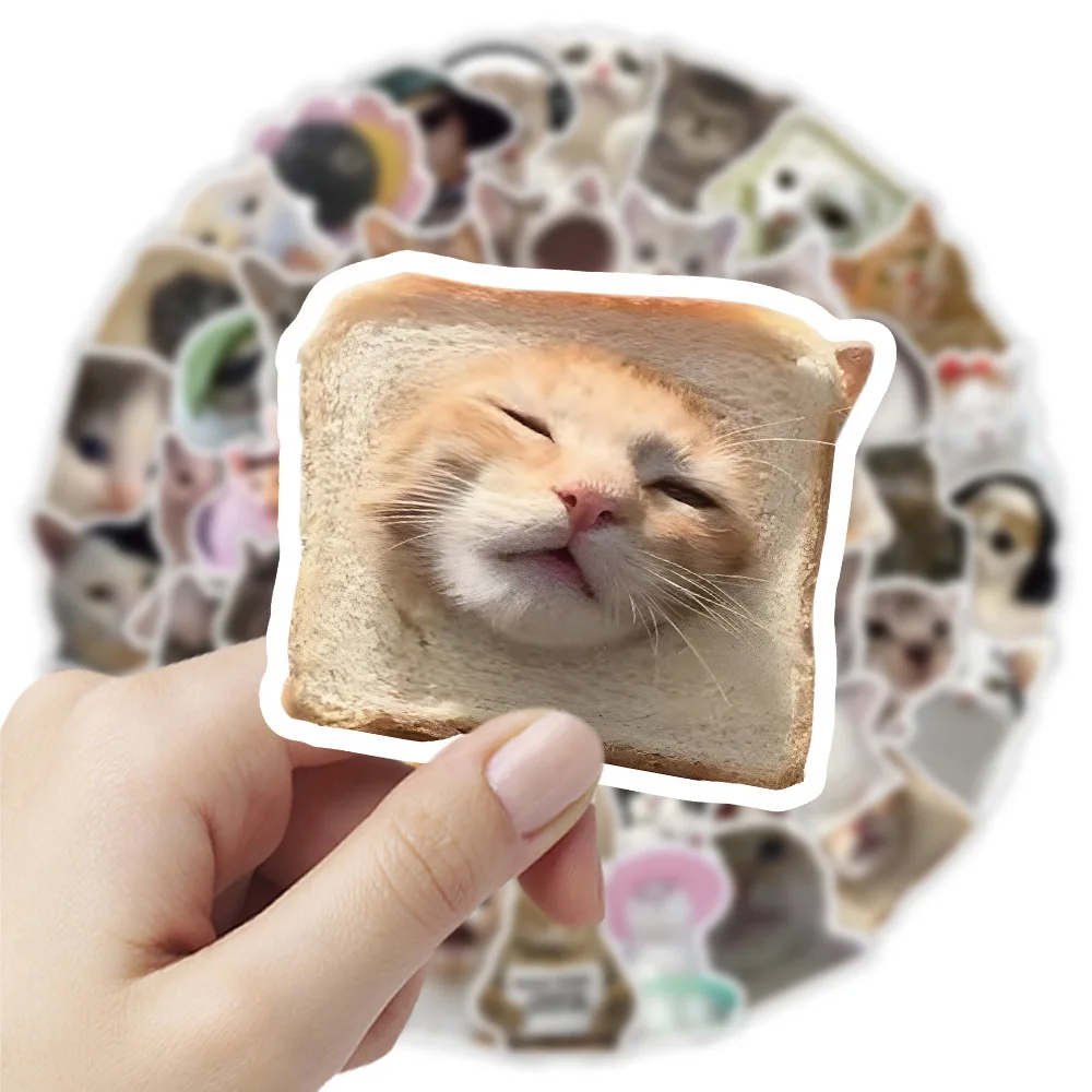 ملصقات قطط كرتونية رائعة ، شارات ميمي مضحكة ، مفكرة ذاتية الصنع ، دراجة نارية ، هاتف ، دراجة ، ثلاجة ، سيارة ، ألعاب أطفال ، 10 من من من من من نوع 50 ومن ومن ومن ومن ومن ثم #2