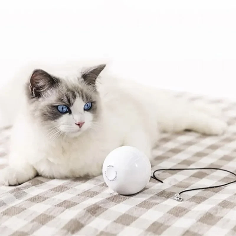 Toy feather bells tease cat balls