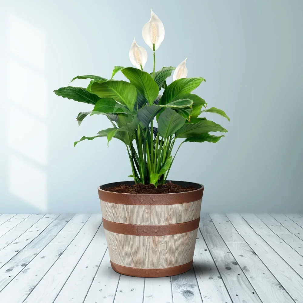 Donica z żywicy w kształcie beczki whisky, trwała, okrągła, do użytku wewnątrz i na zewnątrz, z otworami odpływowymi, odporna na mroz, lekka, łatwa w pielęgnacji.