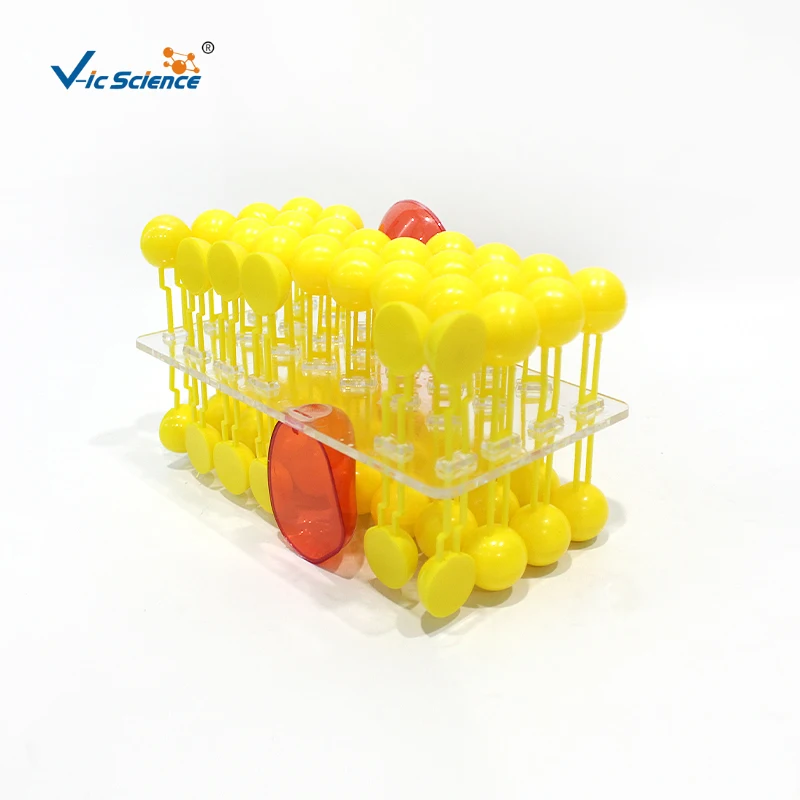 Modello di flusso della membrana cellulare