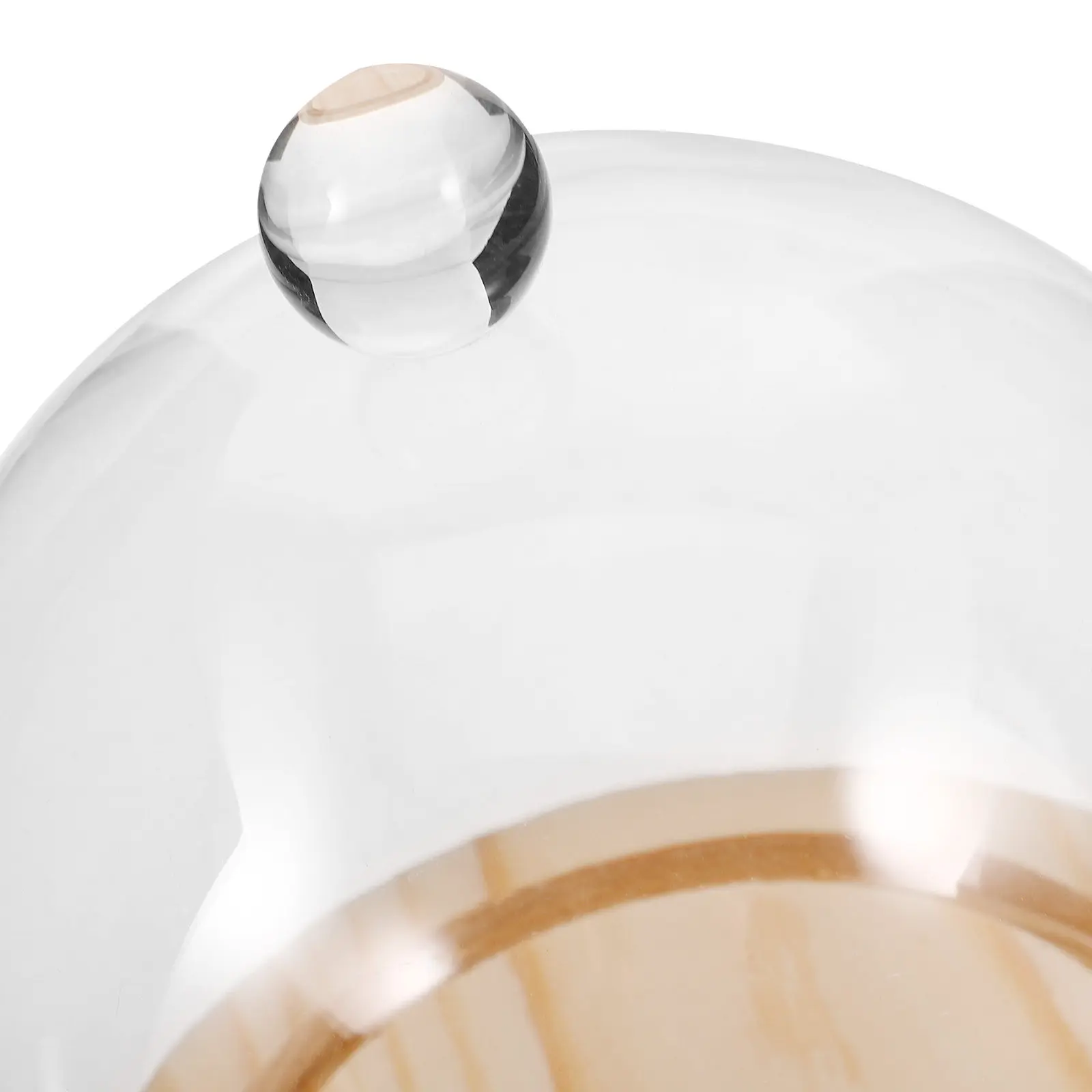 1Set Glass Dome Cloche Display Cover Clear Glass Dome with Wood Base for Flower Craft Terrarium and Desktop Display