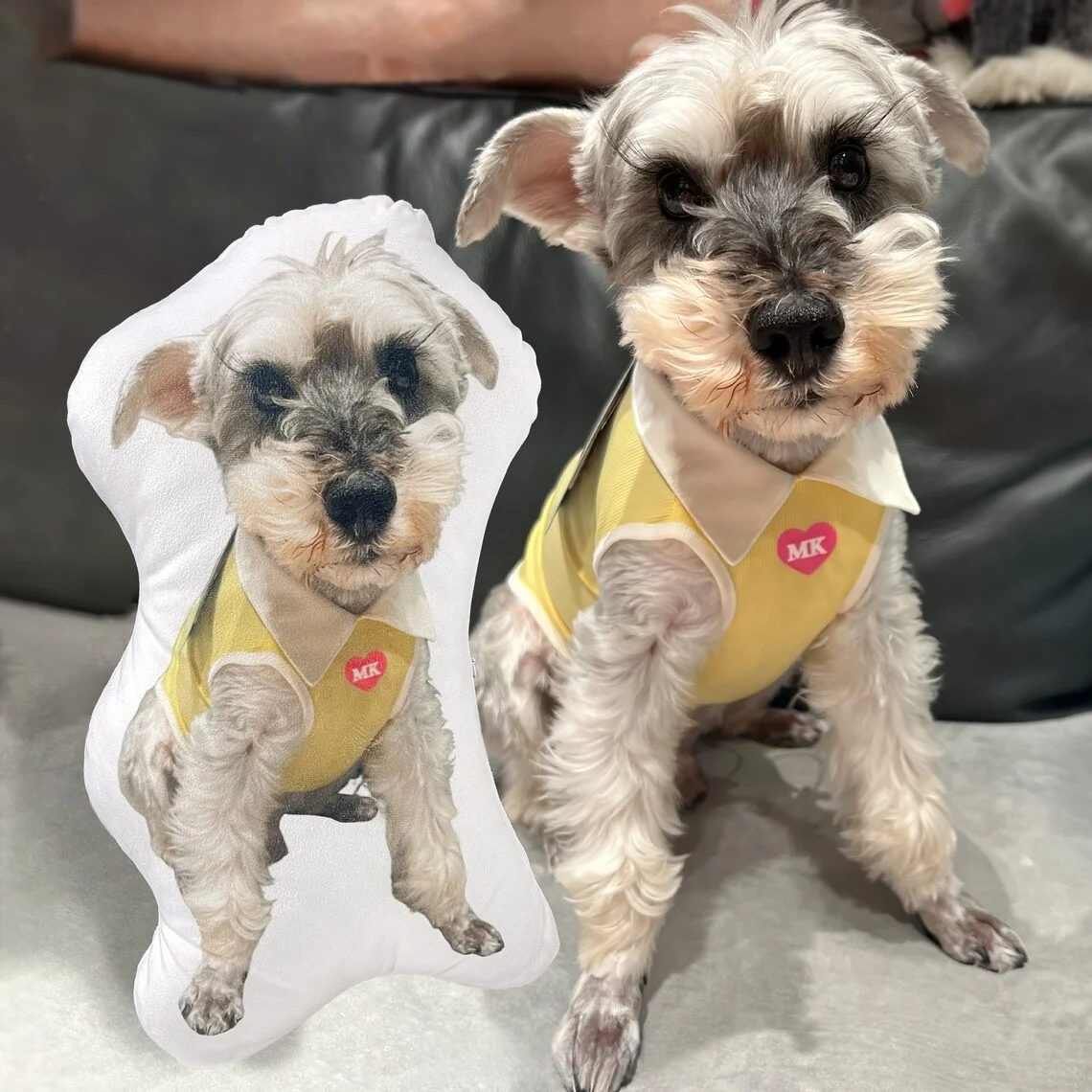 

Подушка для домашних животных на заказ — персонализированная подушка для собак или кошек, уникальный дизайн, идеально подходит для декора дивана и подарков, подарка на память для домашних животных