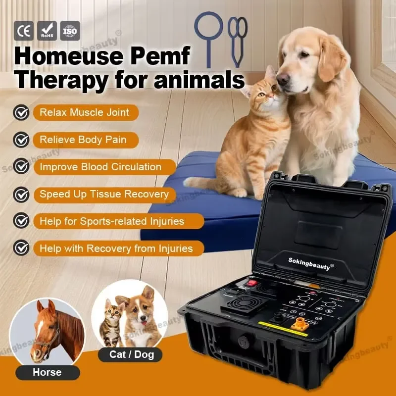 Comfortable PEMF Mat For Dog Sleep Improvement Cat Relaxation Pulse Electromagnetic Field Therapy Wellness Pet Bed