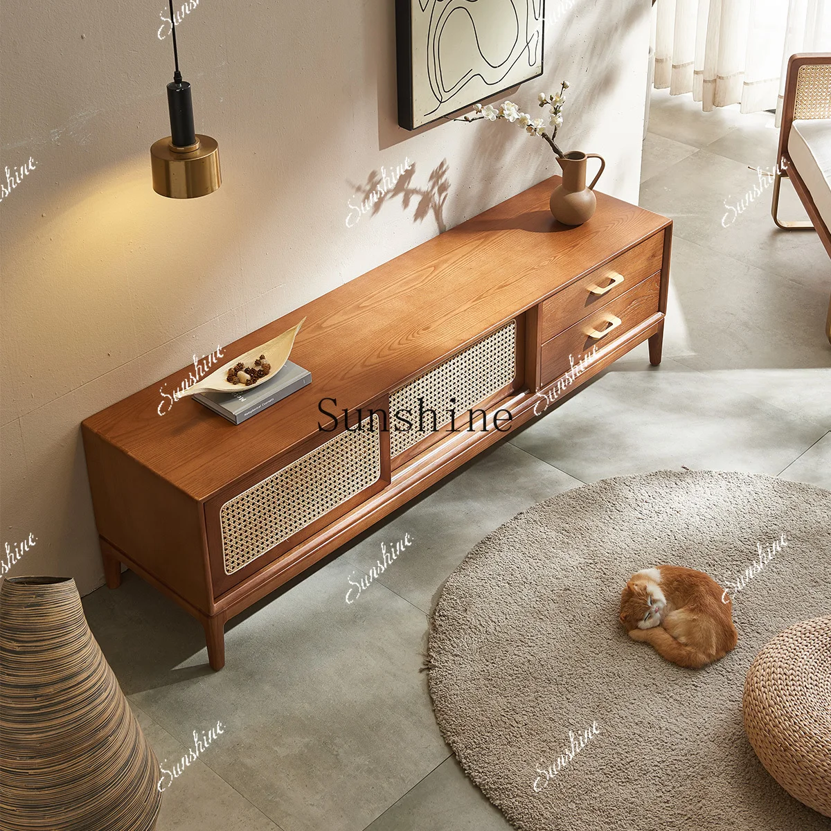 Solid wood rattan living room small apartment simple homestay creative storage cabinet  FT