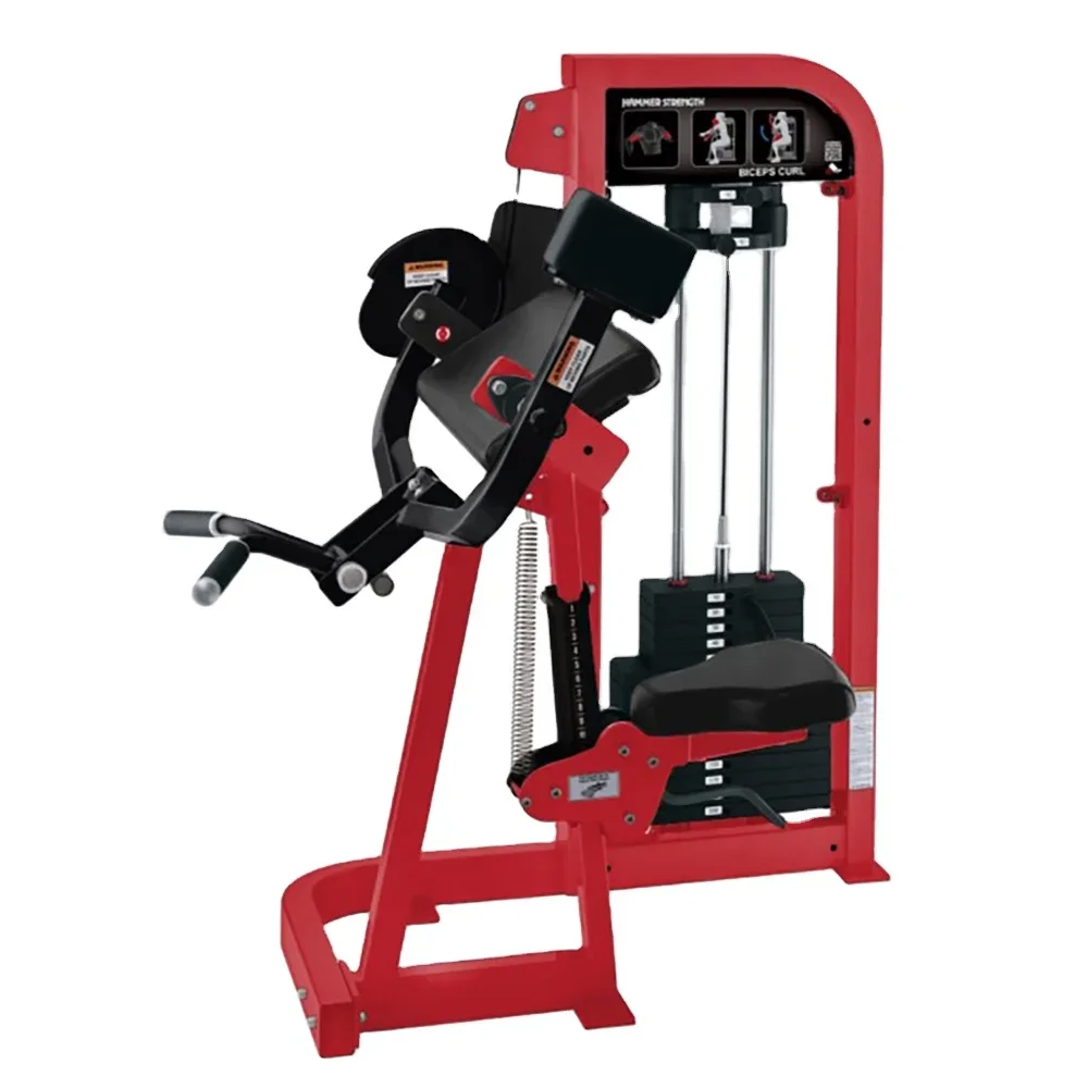 Body building Multi Functional Commercial Biceps Curl Machine