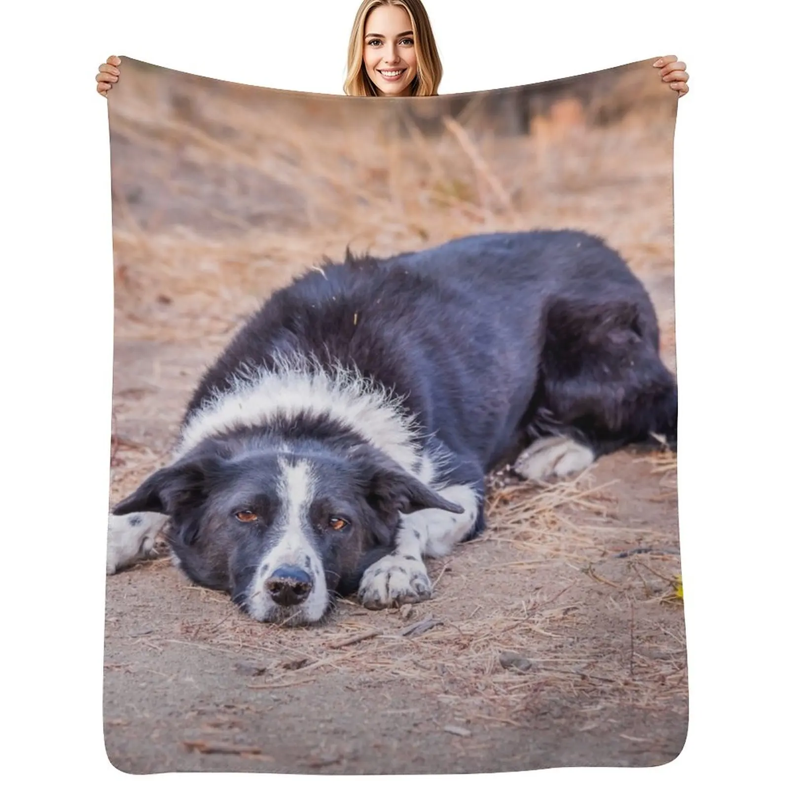 Cute Border Collie Lying on Ground Throw Blanket Personalized Gift for babies decorative Thin Thermal Decorative Throw Blankets