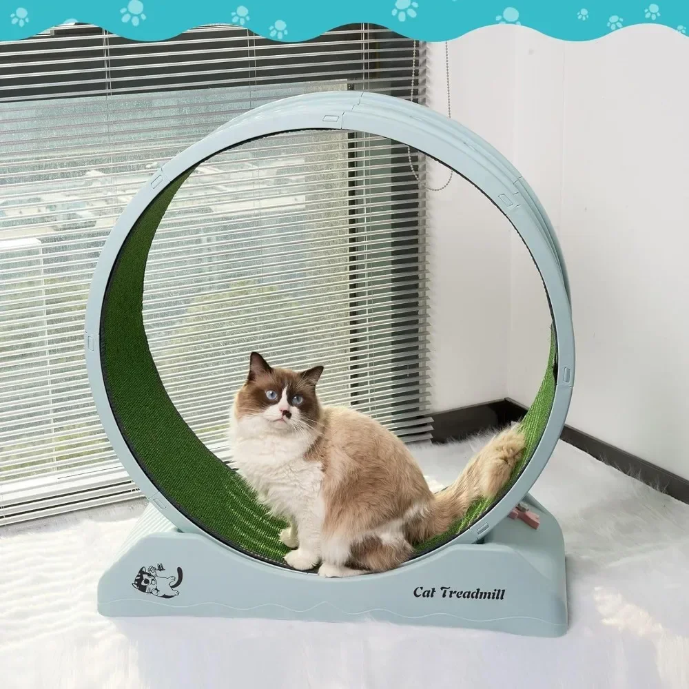 Pets Cat Exercise Wheel for Indoor Cats Plush Toys Cat Wheel Exerciser for Cat's Fitness & Health Pet Interesting Products Home