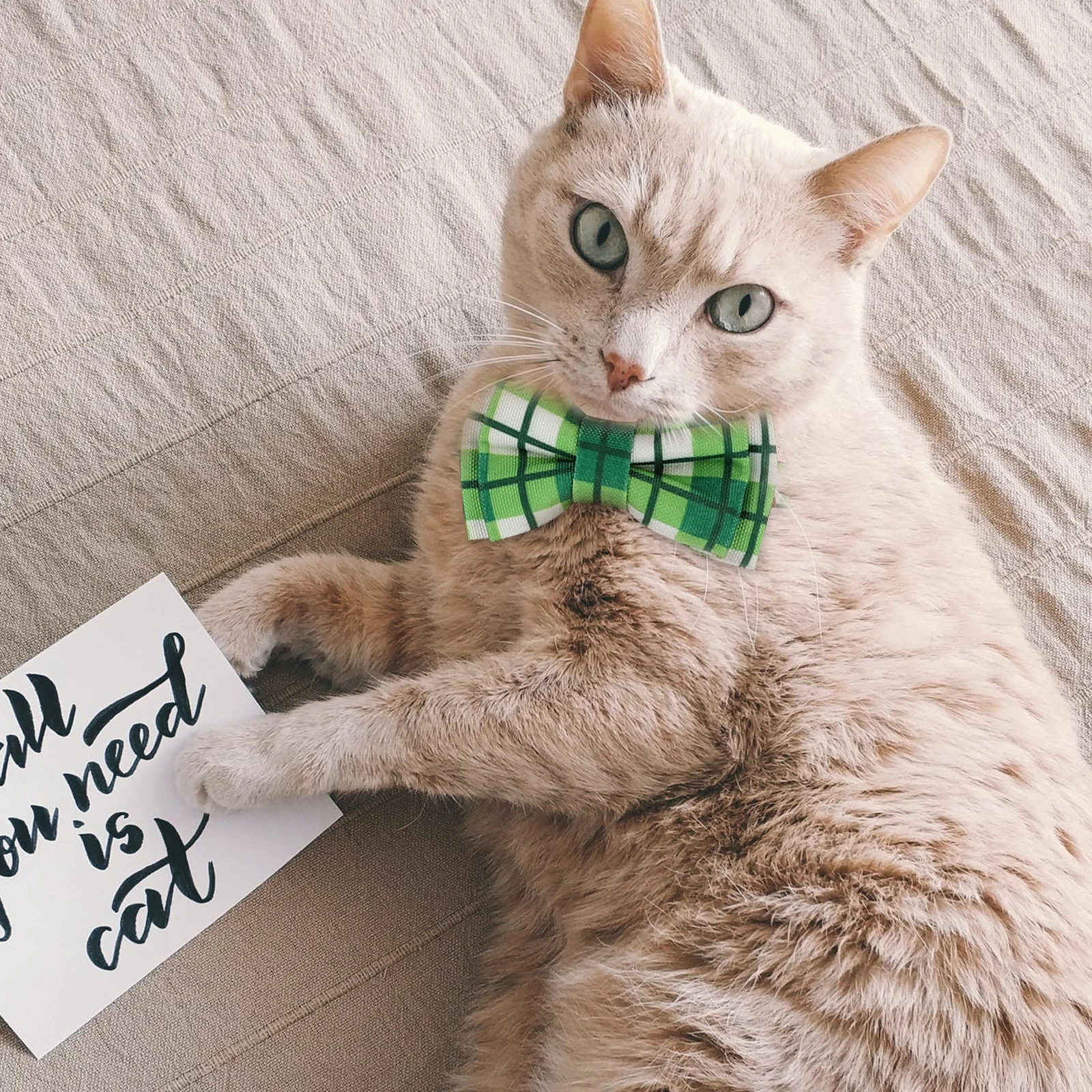 

2pcs Cat Collar Fabric Bow Tie Elastic St Patrick Day Decorative Pet Supplies Lovely Kittens Stylish Matching Gifts