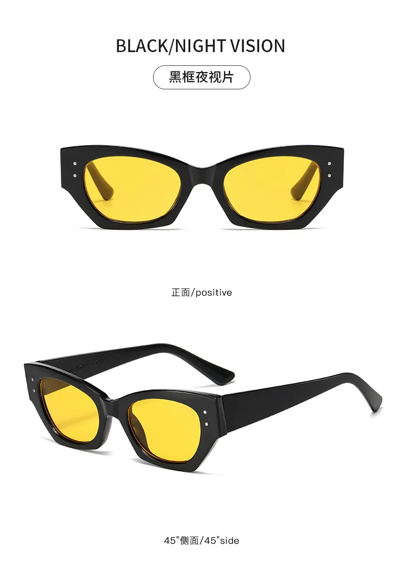 Vintage Kleine Niet Cat Eye Sonnenbrille Frauen Mode Marke Luxus Designer Polygon Sonnenbrille UV400 – Detail 13