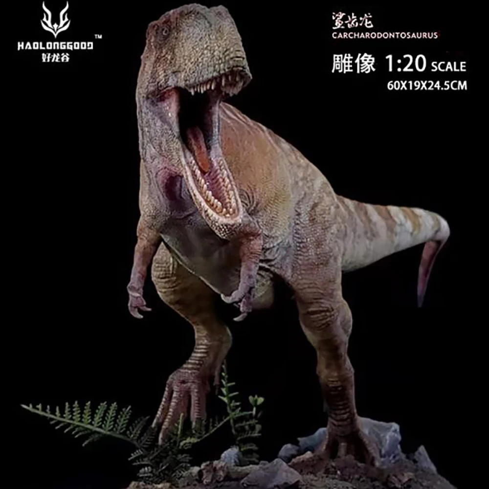 Original GR 1/20 Carcharodontosaurus statue scientific restoration Dinosaur model museum collection level static ornament 60cm