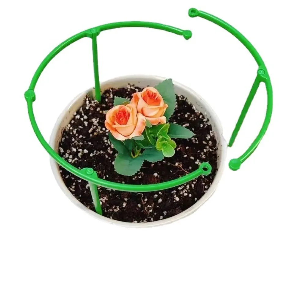 3 Set Durable Green Plant Support Pile Half Round Removable Bonsai Fixing Rod Easy to Use Flower Ring Support Rack