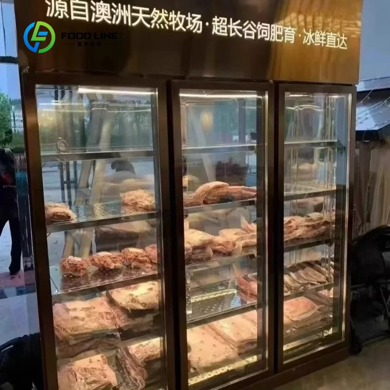 Customized Commercial One Door Beef Matured Meat Dry Wet -Temperature Frost Free Restaurant Kitchen Display Refrigerator