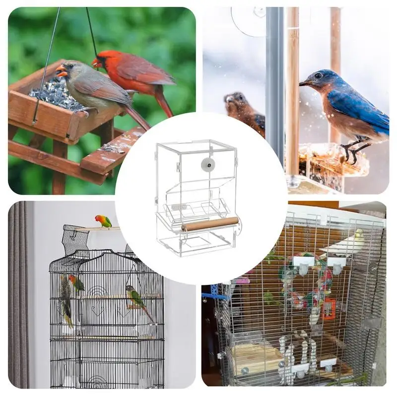 Automatic Parrot Feeder For Cage Cage Automatic Food Feeder Bird Feeding Tool With Integrated Pallets For Cockatiels Parakeets