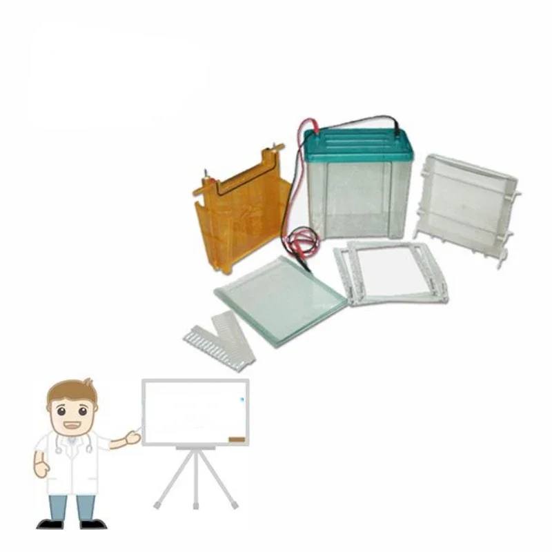 Apparatus Electrophoresis Cell With Agarose Gel Medium 10 15 Comb Wells Horizontal