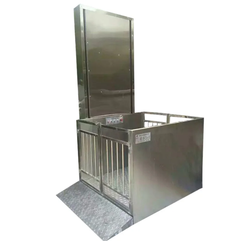 2022 Hydraulic home elevator with good quality