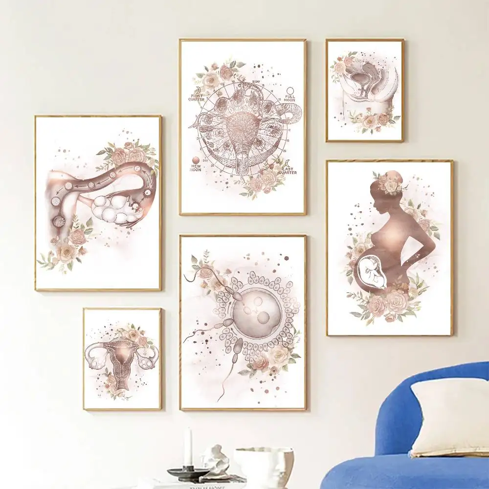 Gynecology Female Anatomy Fertility Pregnancy Poster Self-adhesive Art Room Entrance Restaurant Wall Decor Art Painting