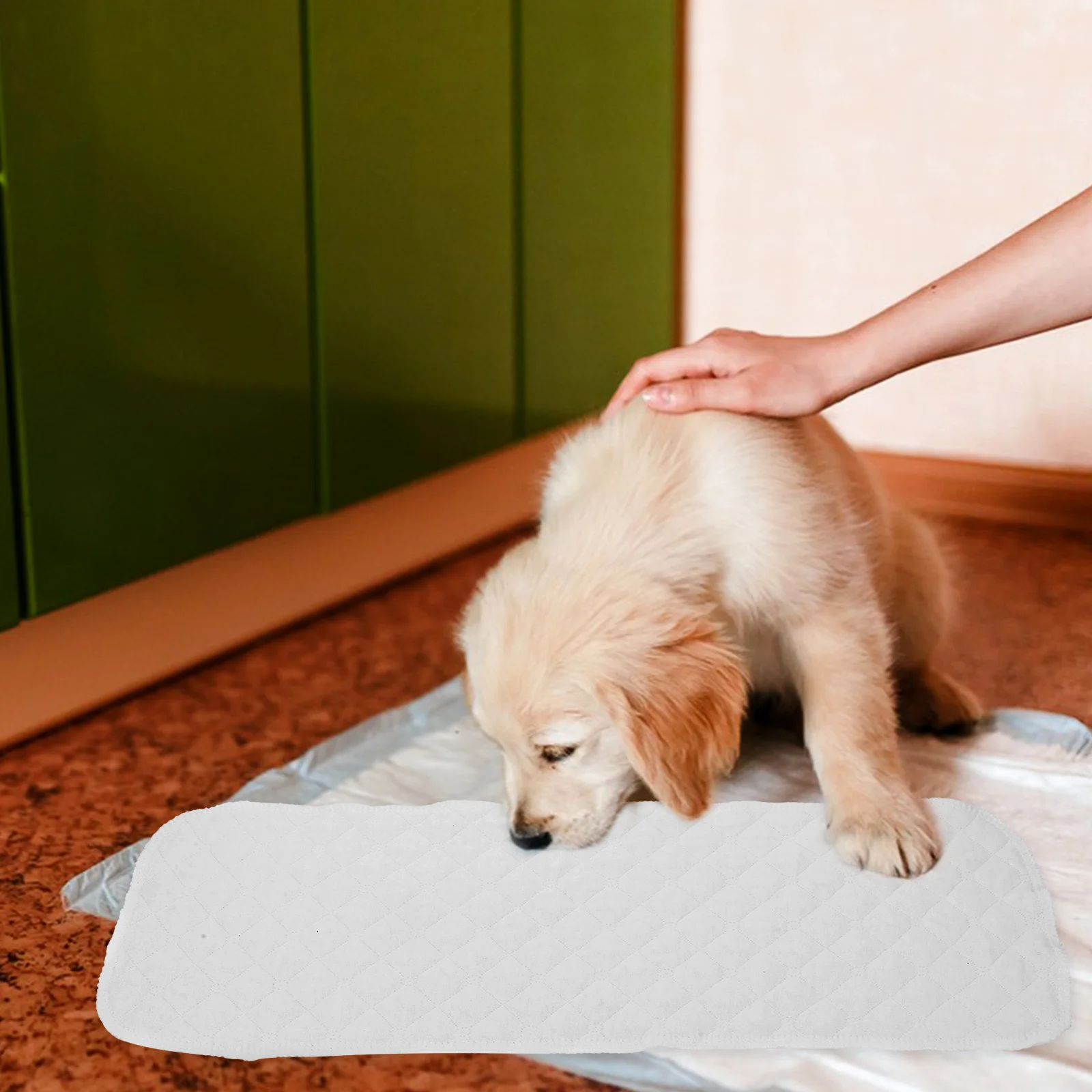 

3Pcs Reusable Dog Diaper Liners Soft Absorbent Comfortable Puppy Pet Pee Pads for Small Medium Dogs Diaper Liners for Dog