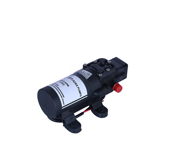 12V/24v miniature electric self-priming booster diaphragm pump 2-3kg pressure spray system water pump