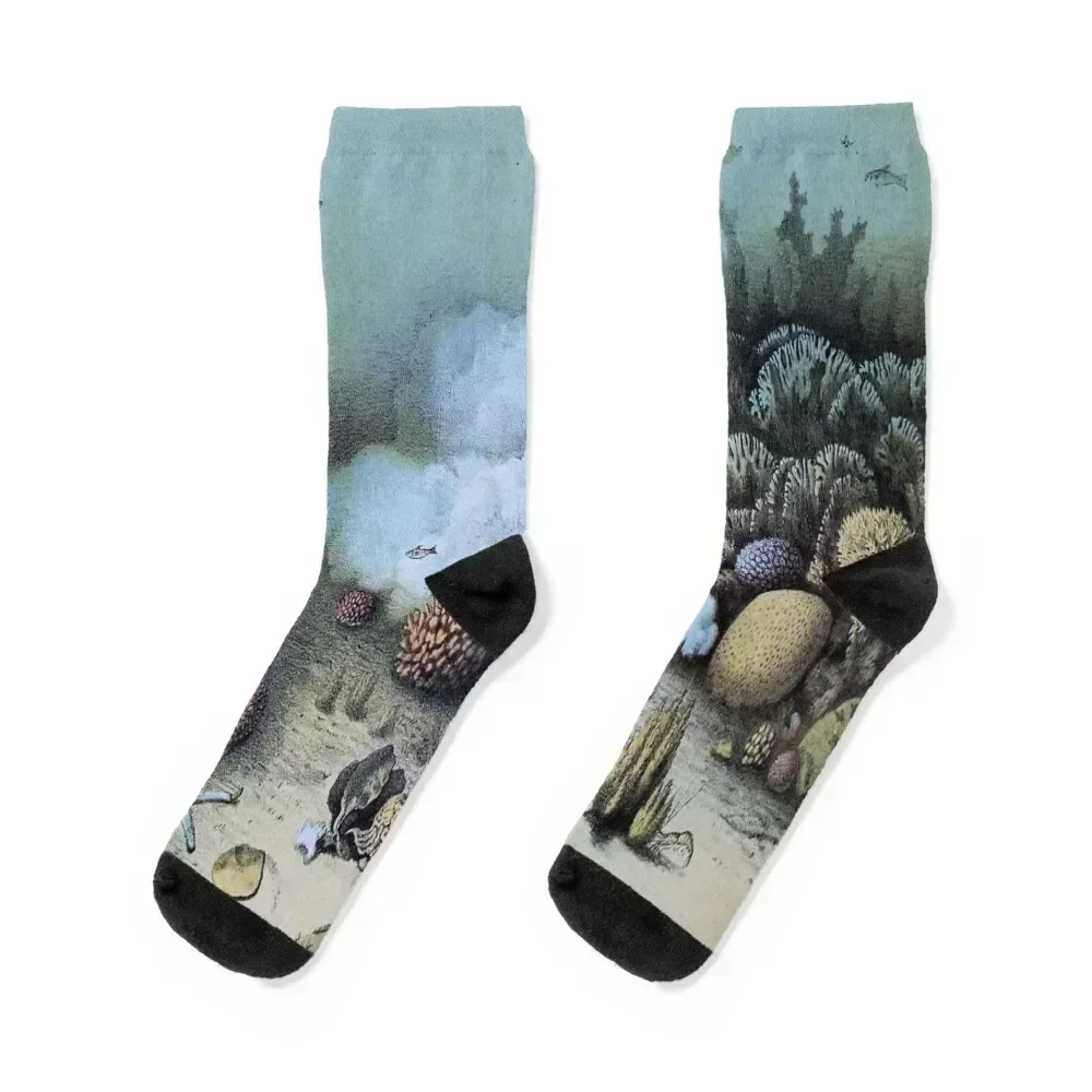 

Undersea - Underwater Socks golf Sports snow kawaii Boy Socks Women's New year's cute christmas stocking Male Socks Women's