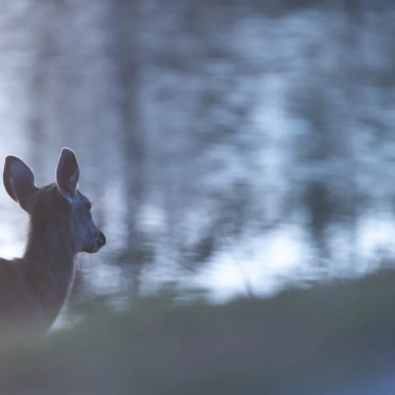 

For HSP 02060 VX18/VX16 Engine 2.74cc Pull Starter Purple RC 1/10 Nitro Car On-road Car Buggy Monster Bigfoot Truck