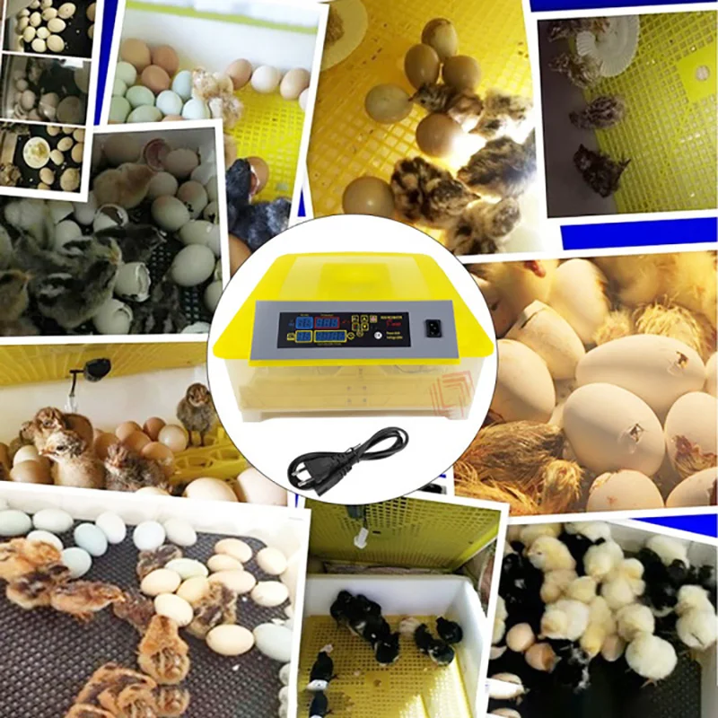 Automatic Egg Incubators China YZ8-56 Fully Hatchery Machine Mini 56 Chicken Sale Auto Turn for Duck Pigeon Quail Parrot