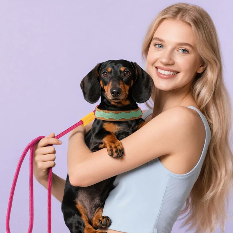 

No Pull Y-shaped Dog Harness With Rope Set for Small Dogs Corgi Puppy Chest Straps Macaron Color Matching Pet Outdoor Products